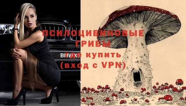 mdpv Магадан