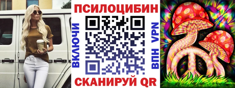 Галлюциногенные грибы Magic Shrooms  Терек 